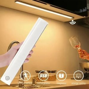 20 CM / 7.8 INCH Rechargeable Motion Sensor LED Cold White Light